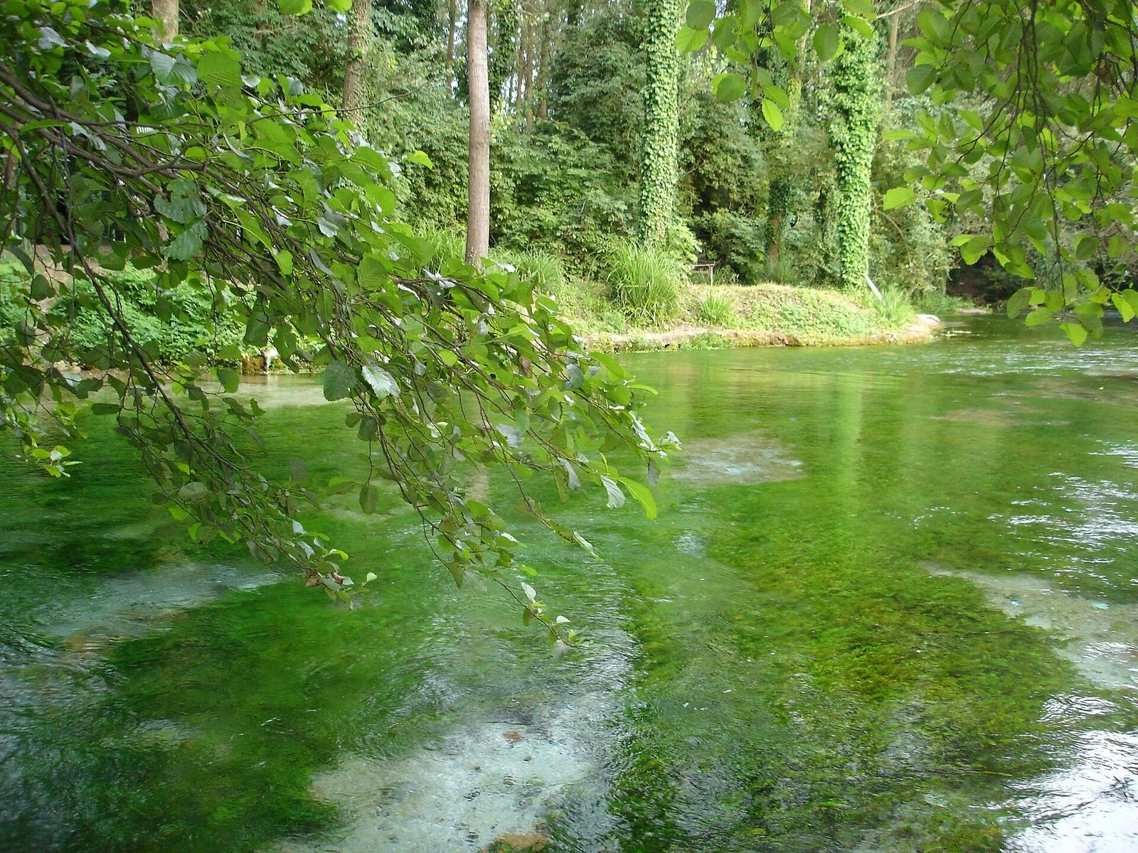 Acque sorgive limpide e vegetazione rigogliosa nel parco delle Terme Varroniane a Cassino