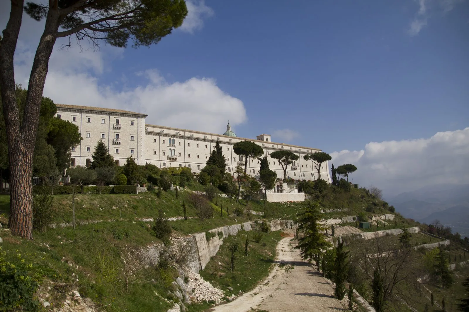 L'Abbazia di Montecassino tra pini e terrazzamenti verdi, con la strada che sale verso il monastero